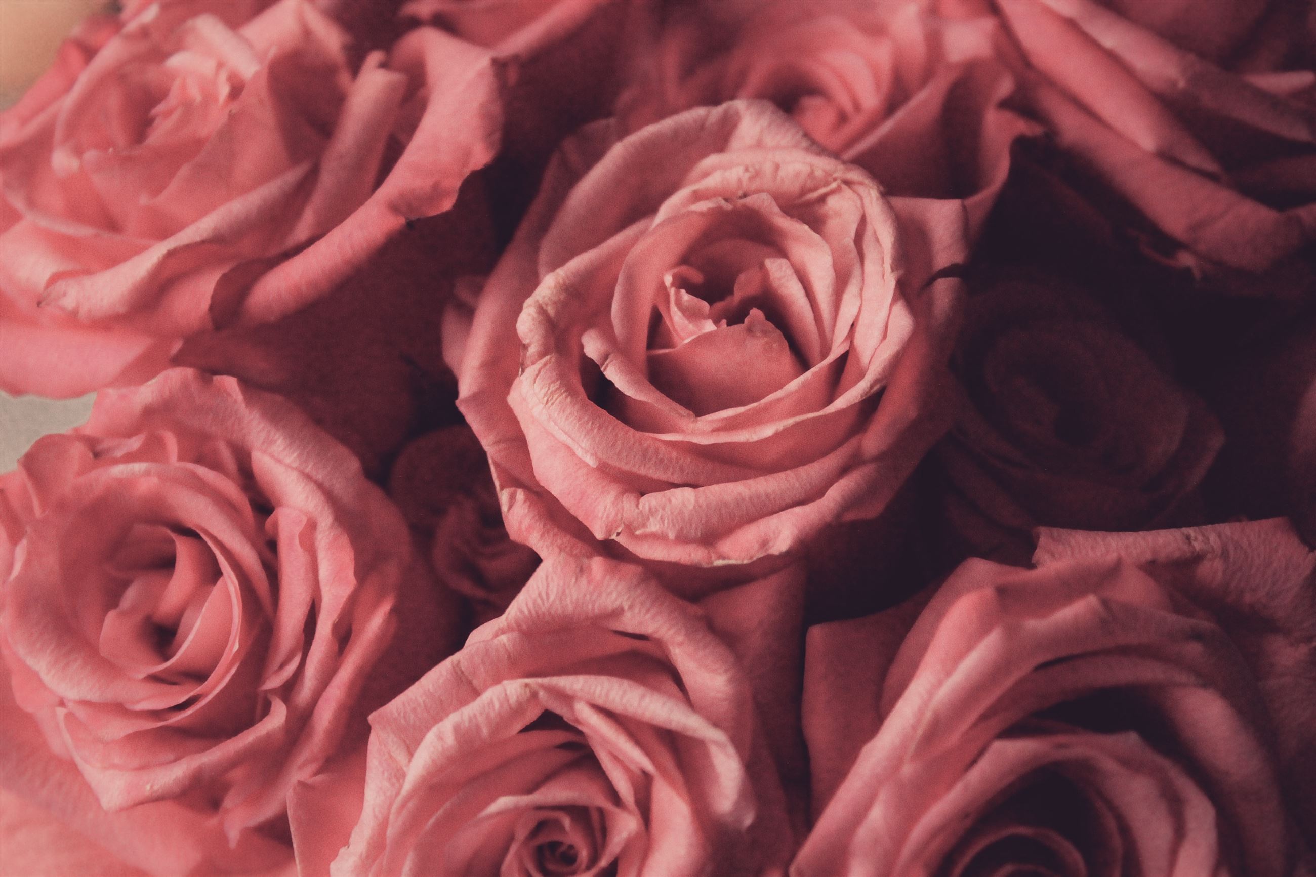 The Month Of Love Main Image