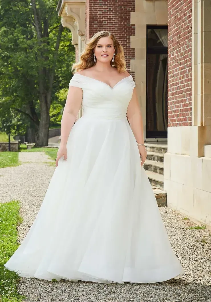 Simple Plus Size Wedding Dress Organza